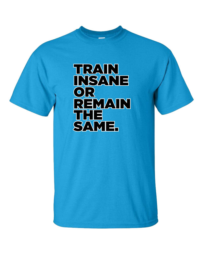 Train Insane or Remain The Same Short Sleeve T-Shirt